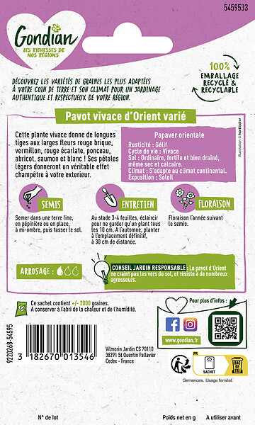 GONDIAN - Pavot Vivace d'Orient Varié Gondian - large