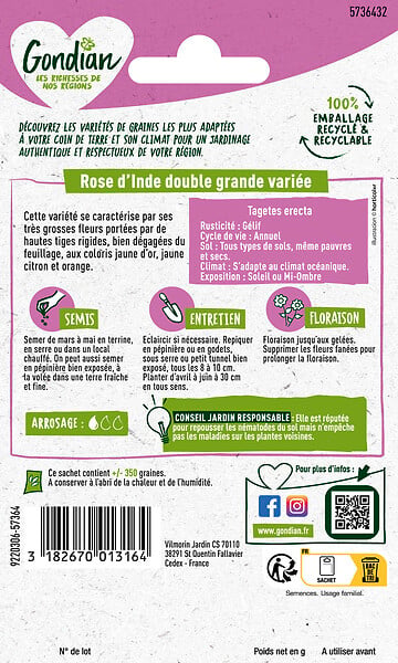 GONDIAN - Rose d'Inde Double Grande Variée Gondian - large
