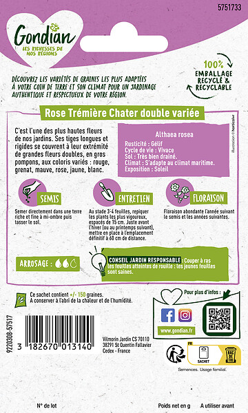 GONDIAN - Rose Trémière Extra Chater Varié Gondian - large