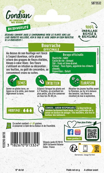 GONDIAN - Bourrache Officinale Gondian - large