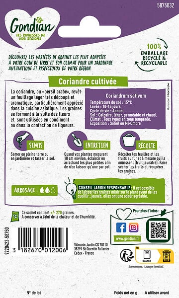 GONDIAN - Coriandre Cultivée Gondian - large