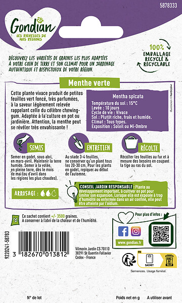 GONDIAN - Menthe Verte Gondian - large
