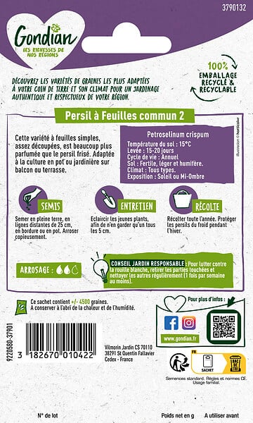 GONDIAN - Persil à feuilles Commun 2 Gondian - large