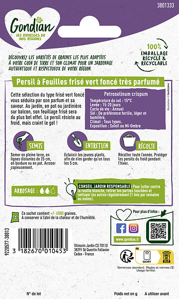 GONDIAN - Persil à feuilles Frisé Vert Foncé race Robust Gondian - large
