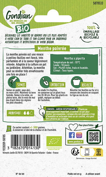 GONDIAN - Menthe Poivrée Bio Gondian - large