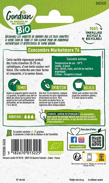 GONDIAN - Concombre Marketmore 76 Bio Gondian - large