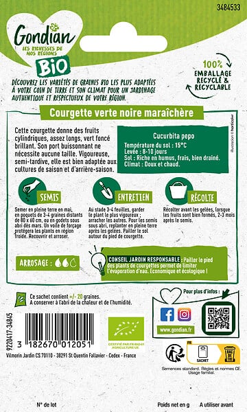 GONDIAN - Courgette Verte Noire Maraîchère Bio Gondian - large