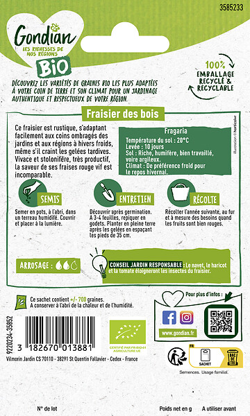 GONDIAN - Fraisier des Bois Bio Gondian - large