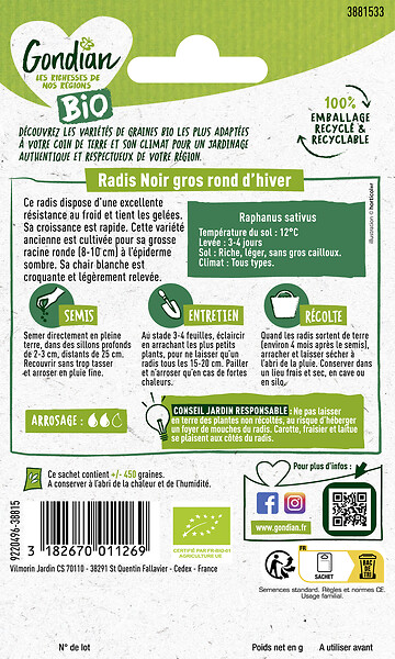GONDIAN - Radis Noir Noir Gros Rond d'Hiver Bio Gondian - large