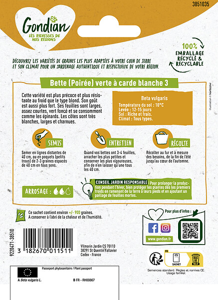 GONDIAN - Poirée - Bette Verte à Carde Blanche 3 Gondian - large