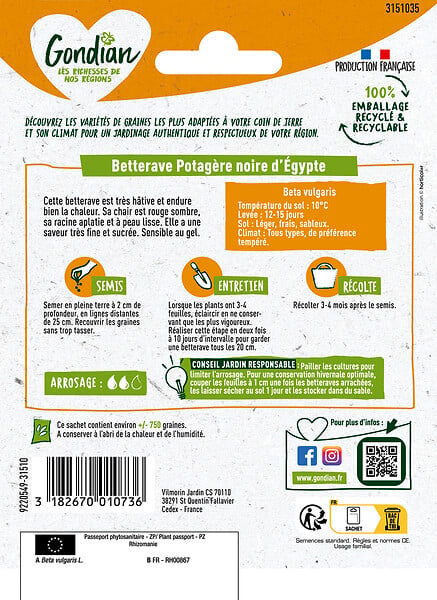GONDIAN - Betterave potagère Noire Plate d'Egypte Gondian - large