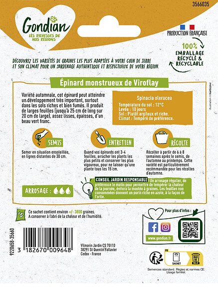 GONDIAN - Epinard Monstrueux de Viroflay Gondian - large