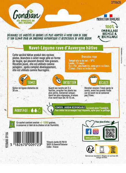 GONDIAN - Navet-Légume Rave d'Auvergne Hâtive Gondian - large