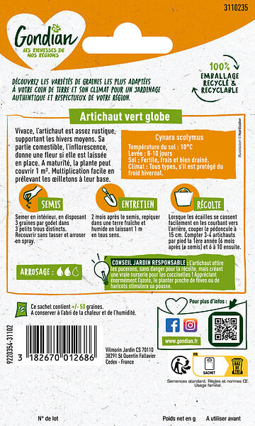 GONDIAN - Artichaut Vert Globe Gondian - large
