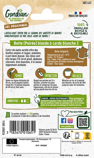 GONDIAN - Poirée - Bette Blonde à Carde Blanche 2 Gondian - large