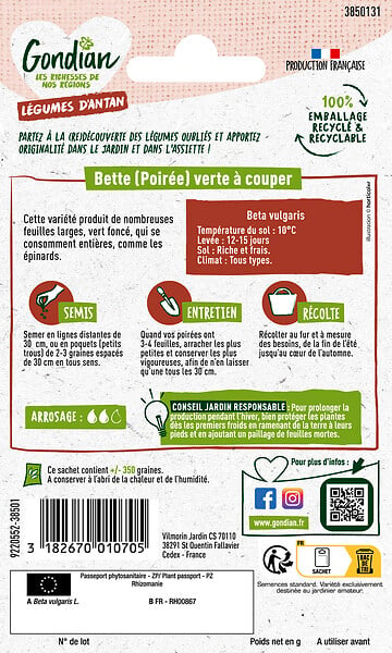 GONDIAN - Poirée - Bette Verte à Couper Gondian - large