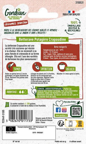 GONDIAN - Betterave potagère Crapaudine Gondian - large