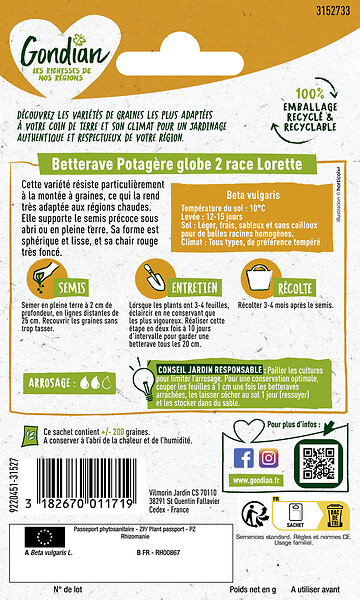 GONDIAN - Betterave potagère Globe 2 race Lorette Gondian - large