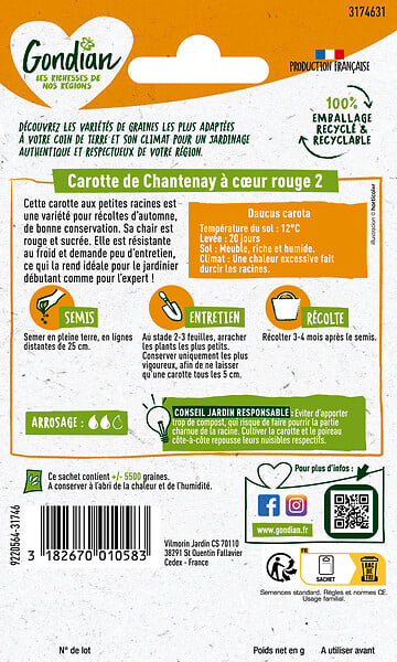 GONDIAN - Carotte de Chantenay à Coeur Rouge 2 Gondian - large
