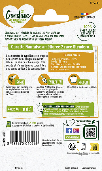 GONDIAN - Carotte Nantaise 2 race Slendero Gondian - large
