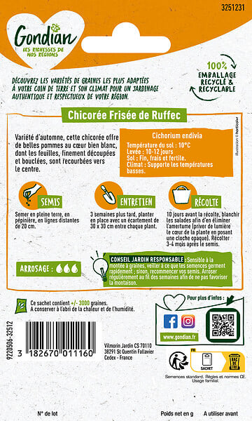 GONDIAN - Chicorée de Ruffec Gondian - large