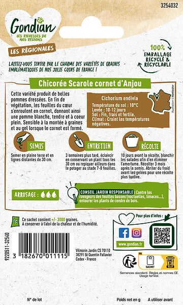 GONDIAN - Chicorée Cornet d'Anjou Gondian - large