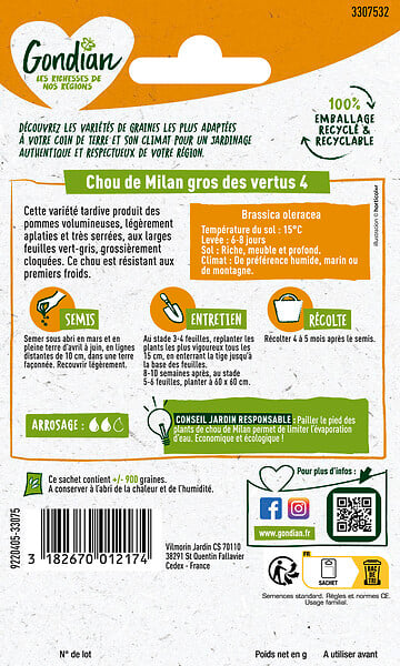 GONDIAN - Chou de Milan Gros des Vertus 4 Gondian - large