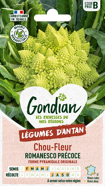GONDIAN - Chou-Fleur Romanesco Natalino Gondian - large