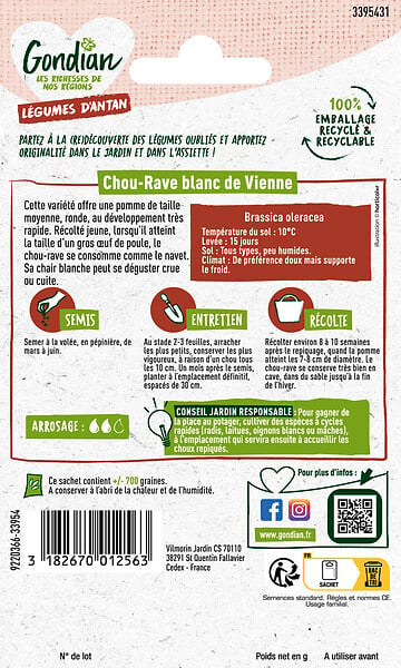 GONDIAN - Chou-Rave Blanc Hâtif de Vienne Gondian - large