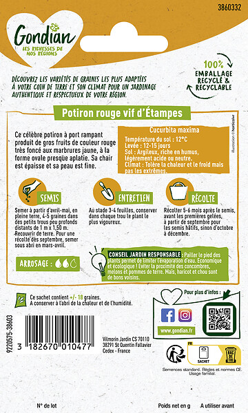 GONDIAN - Potiron Rouge Vif d'Etampes Gondian - large