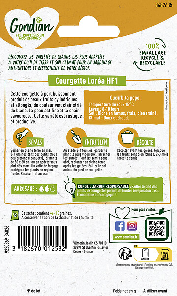 GONDIAN - Courgette Loréa HF1 Gondian - large