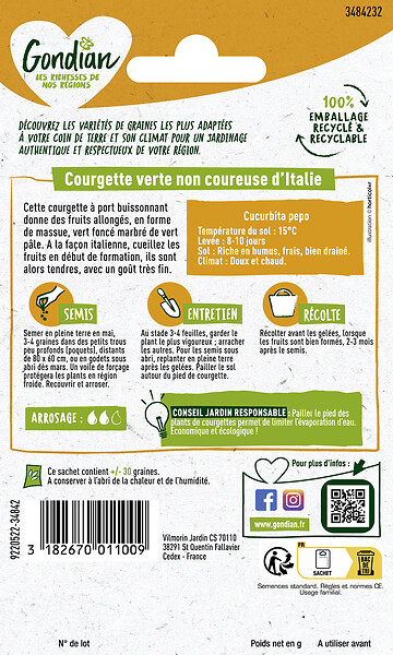 GONDIAN - Courgette Verte Non Coureuse d'Italie Gondian - large