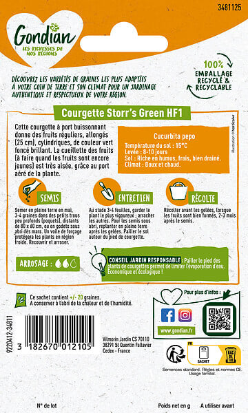 GONDIAN - Courgette Storr's Green HF1 Gondian - large