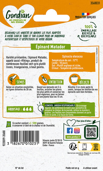GONDIAN - Epinard Matador Gondian - large