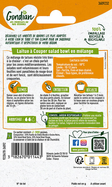 GONDIAN - Laitue en Mélange Gondian - large
