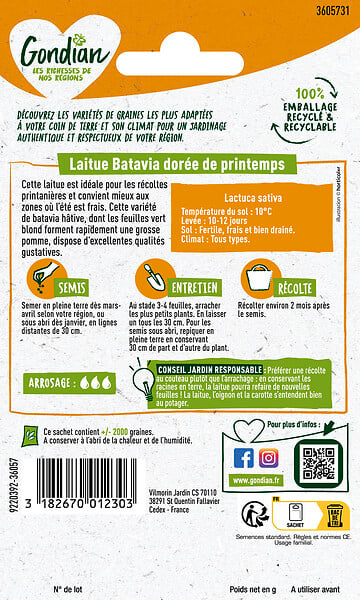 GONDIAN - Laitue Dorée de Printemps Gondian - large