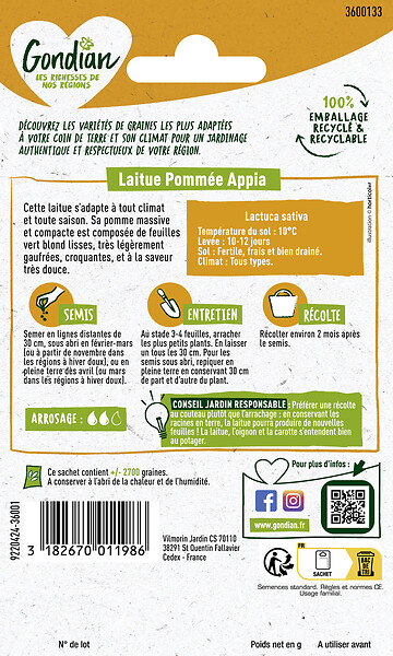 GONDIAN - Laitue Appia Gondian - large