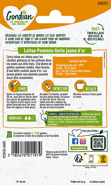 GONDIAN - Laitue Gotte Jaune d'Or Gondian - large