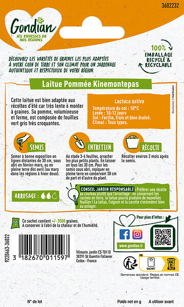 GONDIAN - Laitue Kinemontepas Gondian - large