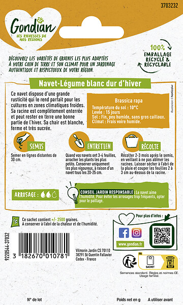 GONDIAN - Navet-Légume Blanc Dur d'Hiver Gondian - large