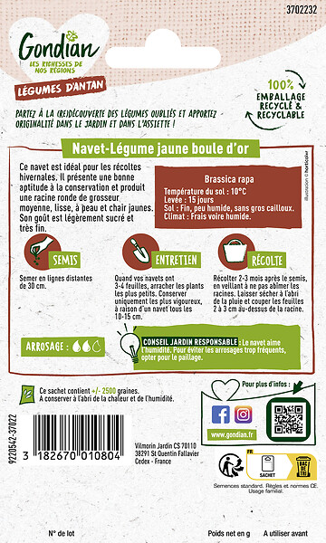 GONDIAN - Navet-Légume Jaune Boule d'Or Gondian - large