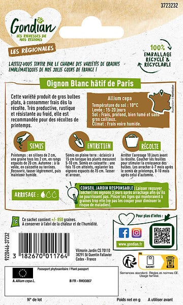 GONDIAN - Oignon Hâtif de Paris Gondian - large