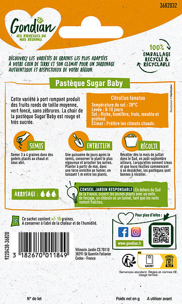 GONDIAN - Pastèque Sugar Baby Gondian - large