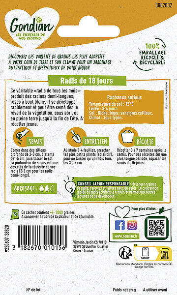 GONDIAN - Radis de 18 Jours Gondian - large