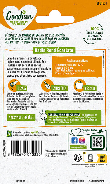 GONDIAN - Radis Rond Ecarlate race Loto Gondian - large