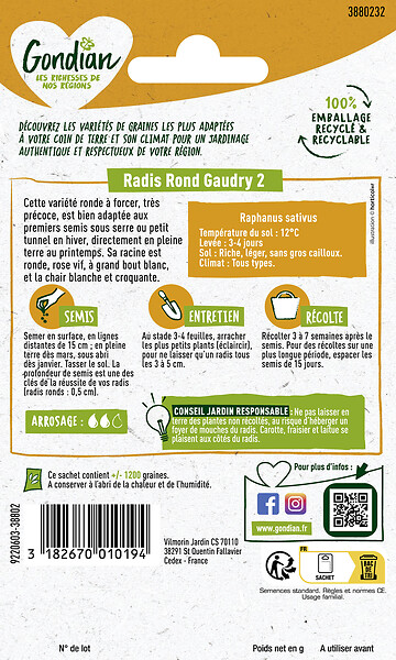 GONDIAN - Radis Gaudry 2 Gondian - large
