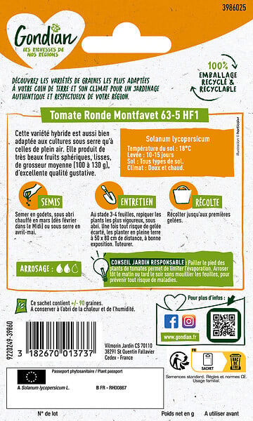 GONDIAN - Tomate Montfavet 63-5 HF1 Gondian - large