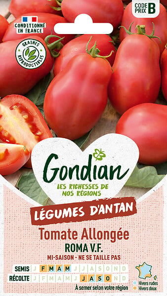 GONDIAN - Tomate Roma V.F Gondian - large