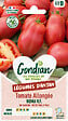 GONDIAN - Tomate Roma V.F Gondian - vignette
