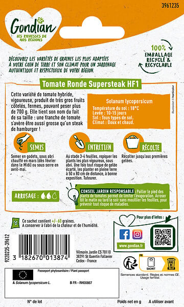 GONDIAN - Tomate Supersteak HF1 Gondian - large
